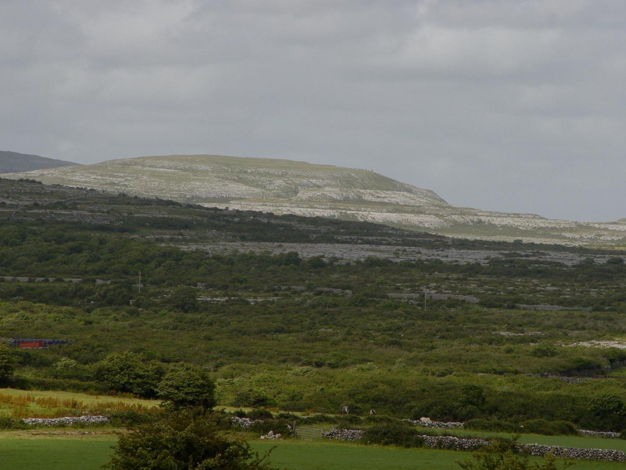 Clare'S Rock Self-Catering Accommodation Carron Exteriör bild